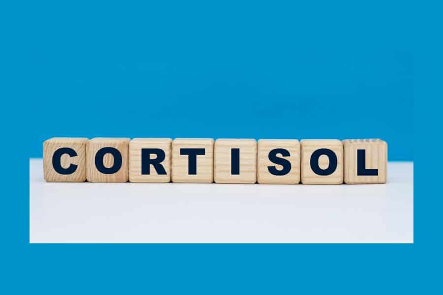 cortisol qué es